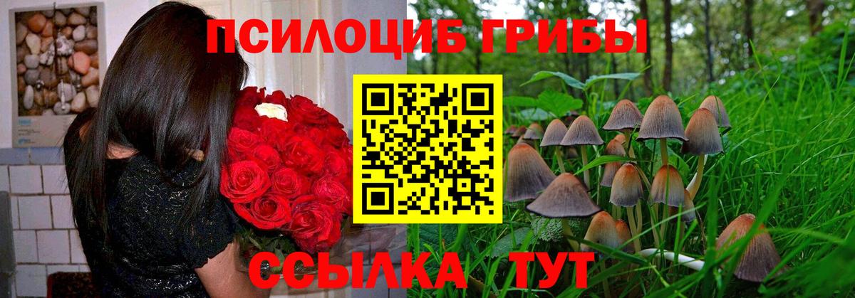 Псилоцибиновые грибы Psilocybine cubensis  Вход с VPN  Галлюциногенные грибы Magic Shrooms  Серов 